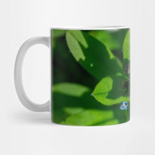 Forget-Me-Nots Mug